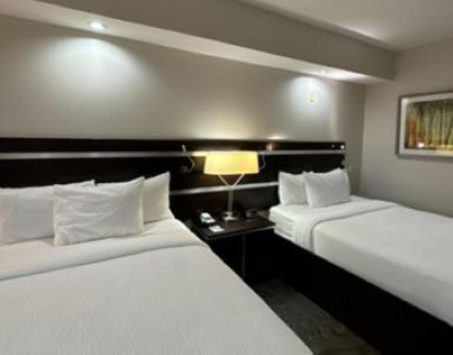 Fairfield Inn And Suites By Marriott North Spring Bagian luar foto